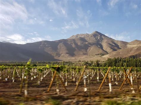 Mendoza Wine Region Go Go 2 Slow Go Travel Blog Wine Vacation Wine