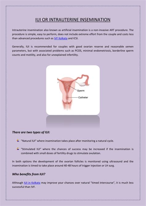 Ppt What Is Iui Or Intrauterine Insemination Powerpoint Presentation Id10603099