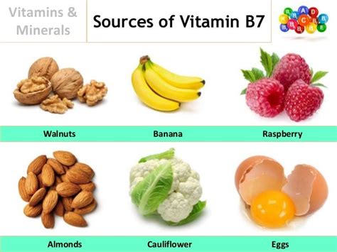 Important Vitamins And Minerals For Increased Sex Drive Uf