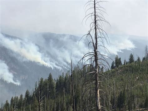 Fires Burn Over 23000 Acres In Boise National Forest Kboi