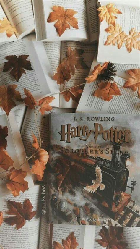 Book Harry Potter And Autumn Image 540x960 Download Hd Wallpaper