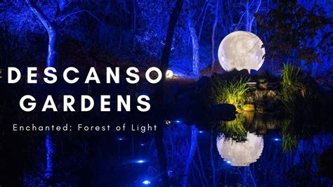 Descanso Gardens Enchanted Forest Of Lights 2021 Youtube