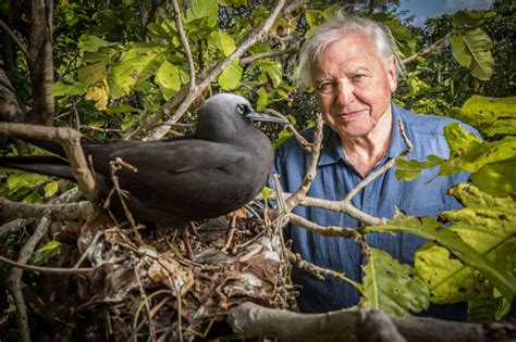 David Attenboroughs 8 Most Memorable Travels Wyza