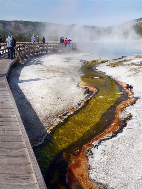 Yellowstone National Park Volcano Geysers Hot Springs Editorial Photo