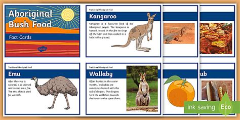 Aboriginal Facts For Kids