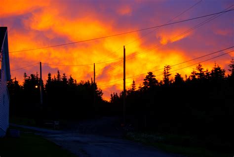 Morning Sunlooking Like A Forest Fire Newfoundland Canada