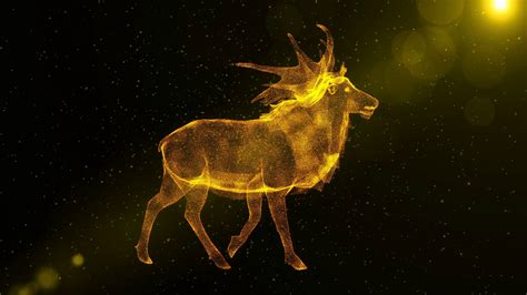 Deer Glowing Abstract Animal Walking Through Stock Motion Graphics Sbv