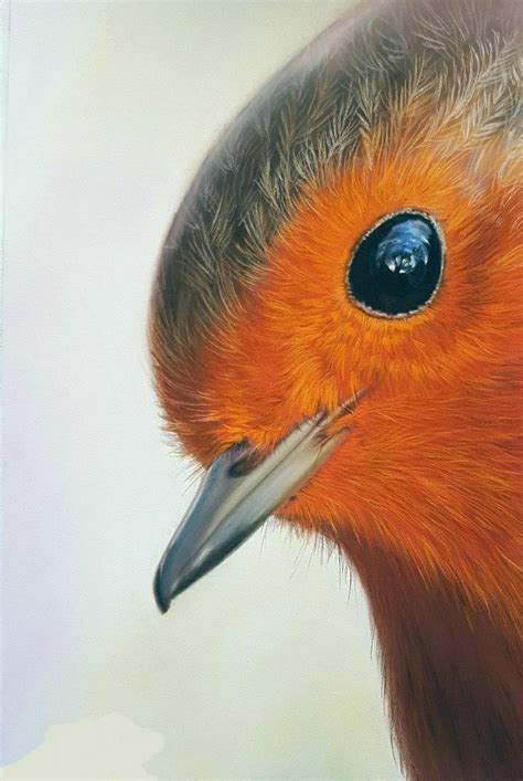 Pin By Lili On Watercolor Birds In 2023 Beautiful Birds Birds
