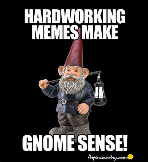 Funny Gnome Meme The Travels Of Gnome Ward Bound Gnome Kidding Page