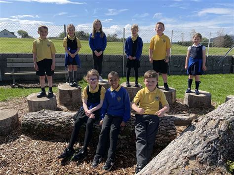 Cullen Primary School Pupils Enjoy Playpark Made From Trees That Fell