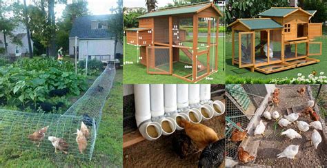 Beautiful Diy Chicken Coop Ideas You Can Actually Build