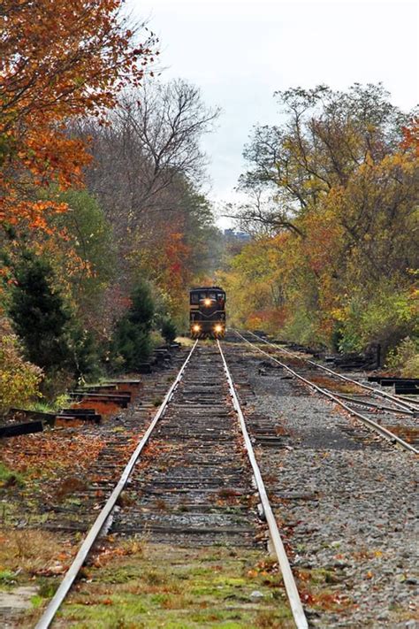 A Train Is Coming Down The Tracks In An Autumn Scene With Leaves On The