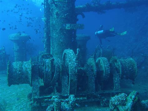 Seven Amazing Coral Reefs Made From Sunken Vehicles Recyclenation