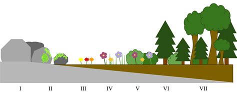 Clipart Road Timeline Clipart Road Timeline Transparent Free For