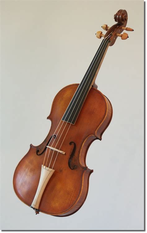Baroque viola pictures