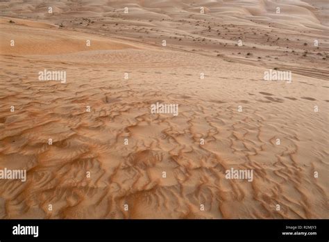 Sand Dunes In Sharqiya Sands Also Known As Wahiba Sands Oman Stock