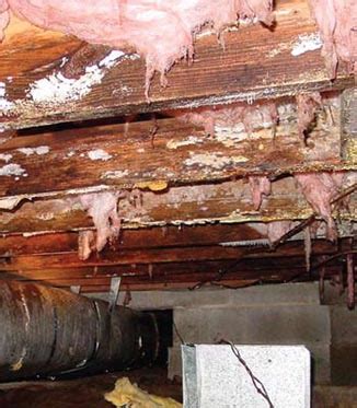 Options are to place the hvac in the closed attic or unconditioned crawl space. A Vented Dirt Crawl Space Is A Very Bad Idea! | News and ...