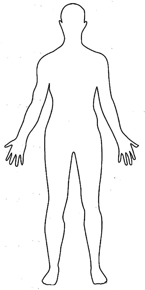We are medical artists who love anatomy. Human Body Outline Drawing Coloring Pages | Coloring Sky