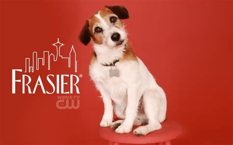 The dog's fur had turned snow white and he was almost completely deaf, but his trainer carried him out onstage after. Frasier | Screen Time | Pinterest | Moose, Netflix and Dogs