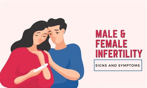 Male And Female Infertility A Detailed Introduction Fresno State Journal