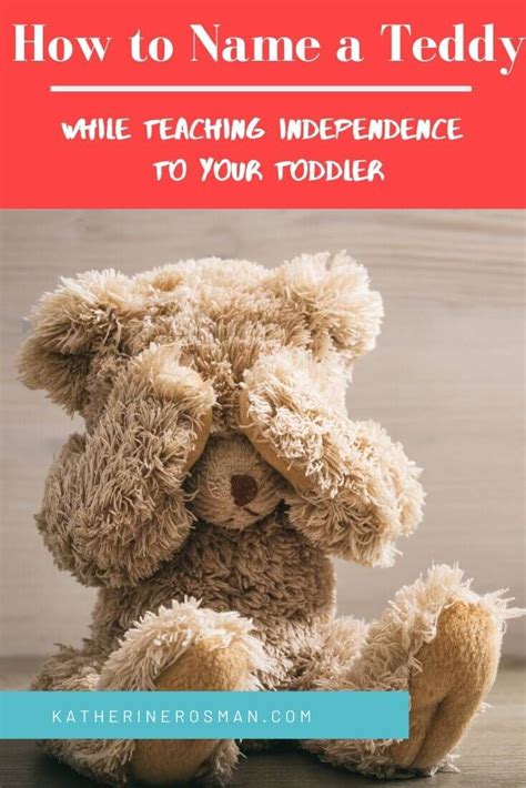 89 Teddy Bear Names Cute Famous Traditional And Unique Teddies
