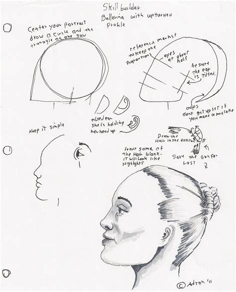 Adrons Art Lesson Plans How To Draw A Womans Face Profile