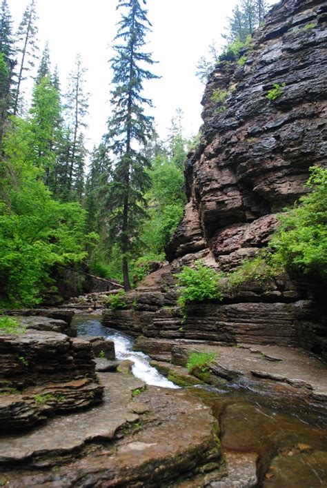 Hiking Spearfish Canyon In South Dakotas Black Hills National Forest