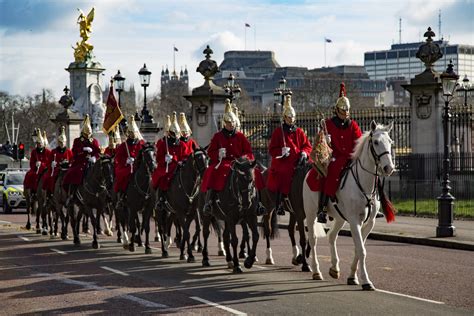 Royal Guards On Horseback Free Stock Photo Public Domain Pictures