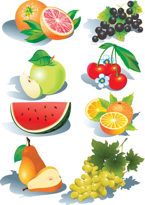 Download Fruit Clipart Free | Free download on ClipArtMag