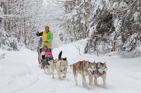 Sledding Dogs 15 Minutes From Quebec City Pourvoirie Du Lac Beauport