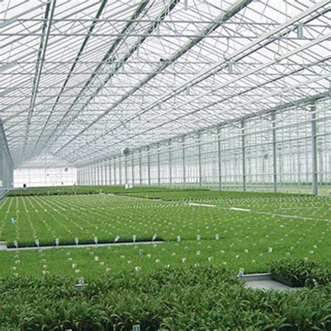 Everything You Need To Know About Greenhouse Polycarbonate Sheets