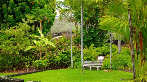 Sadie Seymour Botanical Garden Kailua Kona Hawaii Attraction
