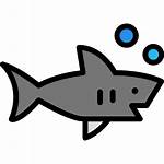 Shark Icon Icons Shape Flaticon