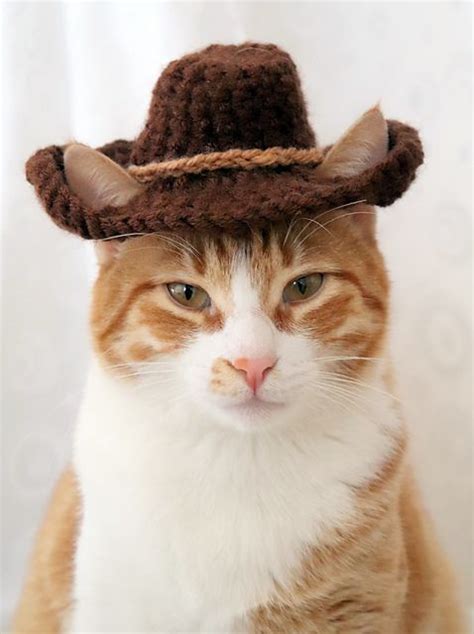 Ravelry Cowboy Hat For Cats Pattern By Rebecca Davis Crochet Cat Hat