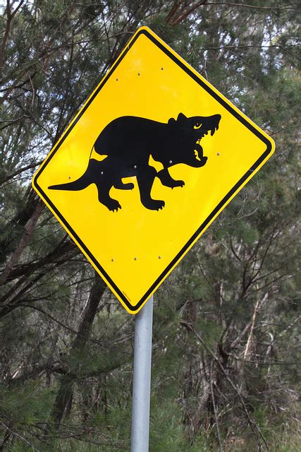 We did not find results for: Claws Walk: 10 More Weird Animal Road Crossing Signs ...