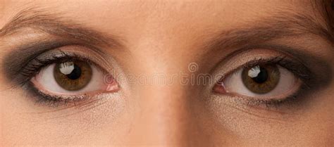 Womans Eyes With Beautiful Makeup Stock Image Image Of Attractive