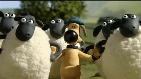 Shaun The Sheep Full Episodes Teammate Best Video