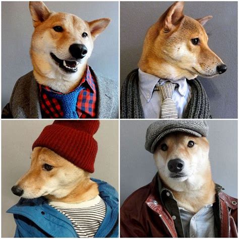 Bodhi The Menswear Model Menswear Dog Dog Modeling Dogs