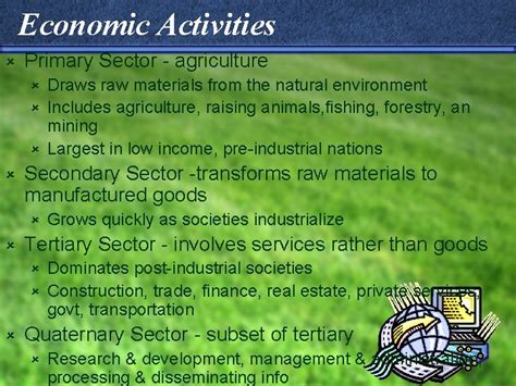 Tertiary Economic Activity Definition Tertiary Economic Activity