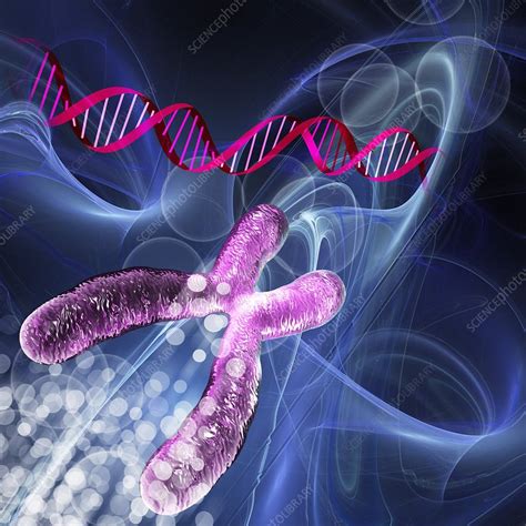 Genetics Research Conceptual Artwork Stock Image F0034184