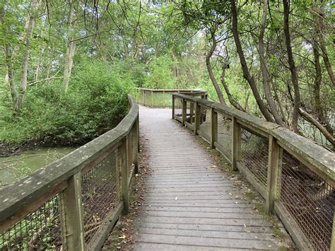 Pipers Creek Trail Carkeek Park Rolling Washington