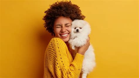 New Survey Shows Many Love Their Pets More Than People Wgal