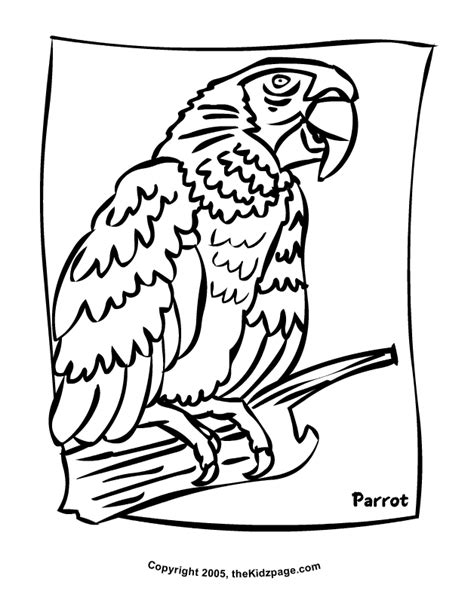 Free Parrot Images Coloring Home
