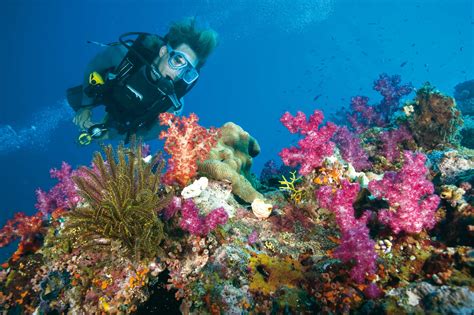 Great Barrier Reef Port Douglas Hot Getaways