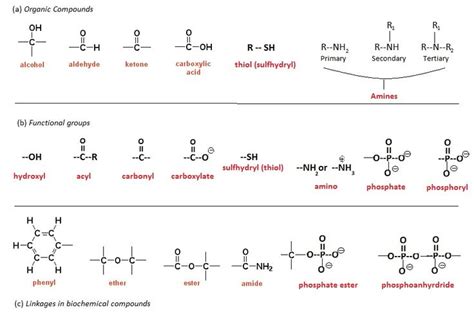 In organic chemistry, a functional group is a specific group of atoms or bonds within a compound that is responsible for the characteristic chemical reactions of that compound. Organic Chemistry: Functional Groups | MCAT 528 ...