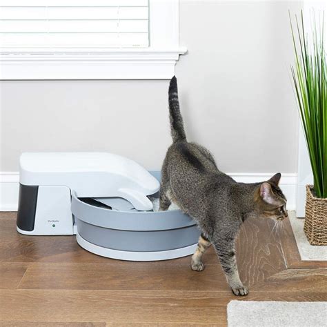 Top 10 Best Automatic Litter Box For Large Cats Chose The Best