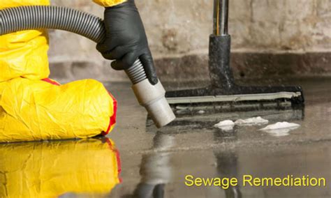 5 Steps To Deal With Sewage Clean Up Virily