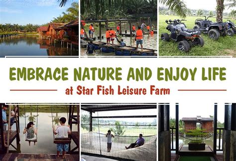 Nature farm chicken brand is a subsidiary brand under the umbrella of our farm resort hotel brand my nature leisure farm (logo as attached below). Embrace the Nature and Enjoy the Simplicity of Life at ...