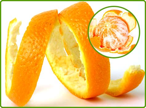 Buy Orange Peel Extract From Plantae Extracts Pvt Ltd India Id