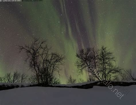 Kuva Revontulet Aurora Borealis Revontuli Tähdet Tähtitaivas Lumi